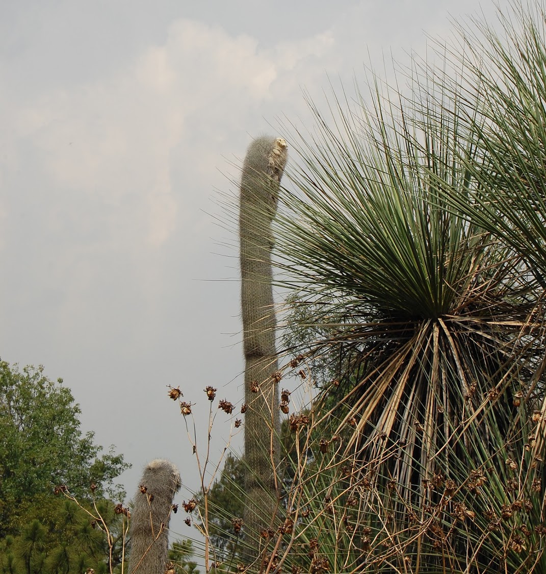 jardin+botanico+3-18.jpg