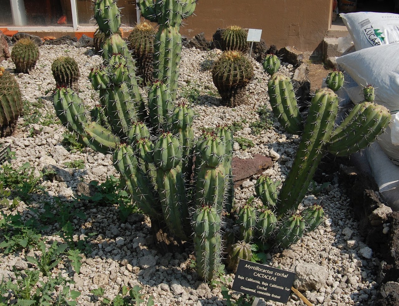 jardin+botanico+3-6.jpg