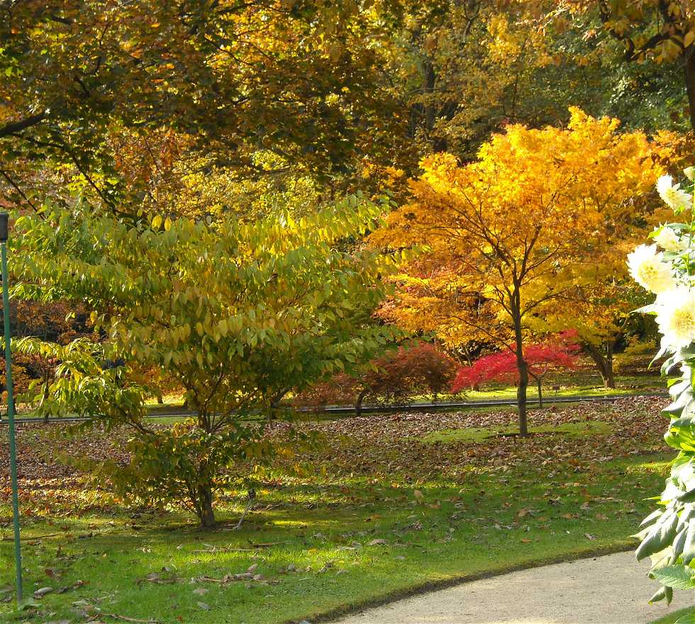 jardin-botanico-de-villa-taranto.jpg