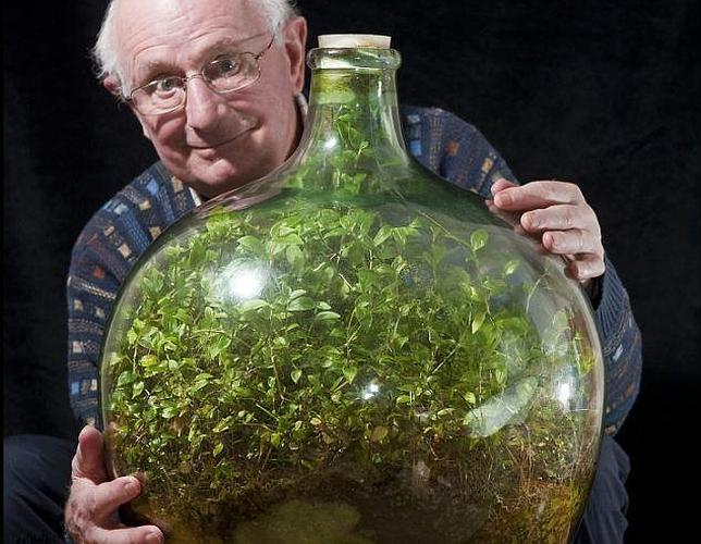 jardin-botella--644x500.jpg