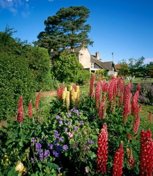 jardin-de-flores1.jpg