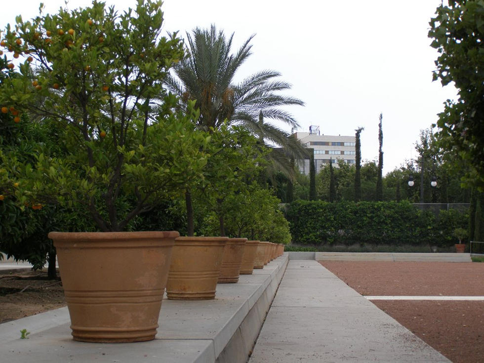 jardin-de-las-hesperides-_-valencia_311846.jpg