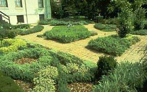 jardin-hierbas-nuevo.jpg