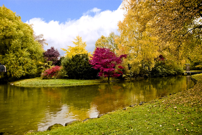 jardin-ingles.jpg
