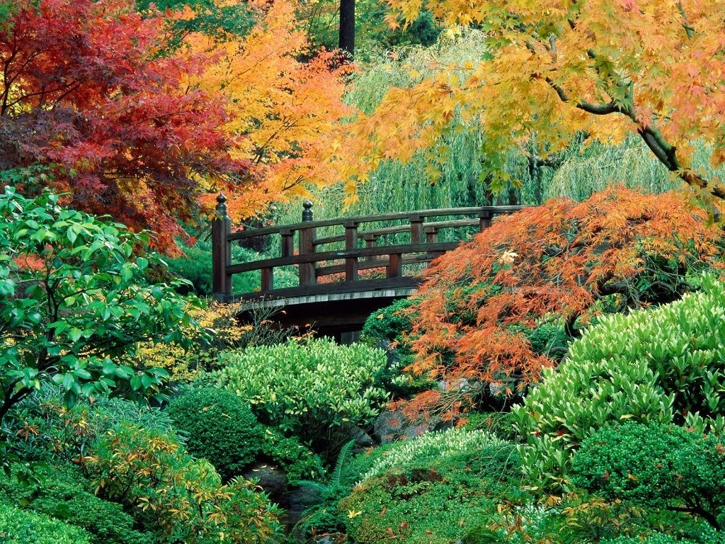 jardin-japones+%25282%2529.jpg