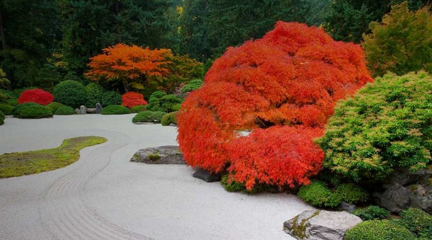jardin-japones1.jpg