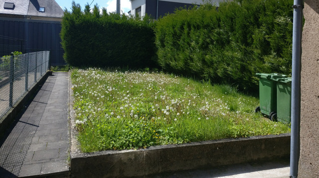 jardin.jpg