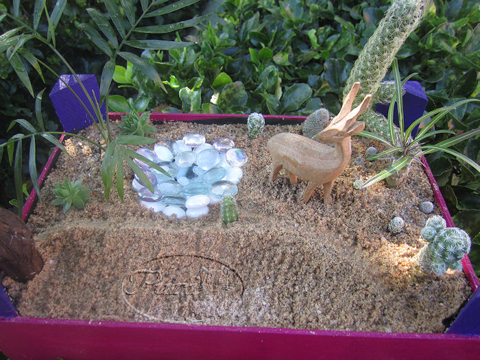 jardin+miniatura+8+septiembre+2011+%25281%2529.jpg