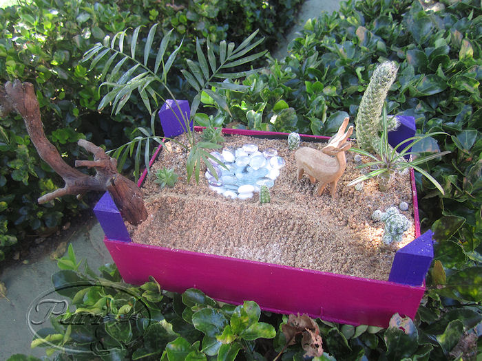 jardin+miniatura+8+septiembre+2011.jpg
