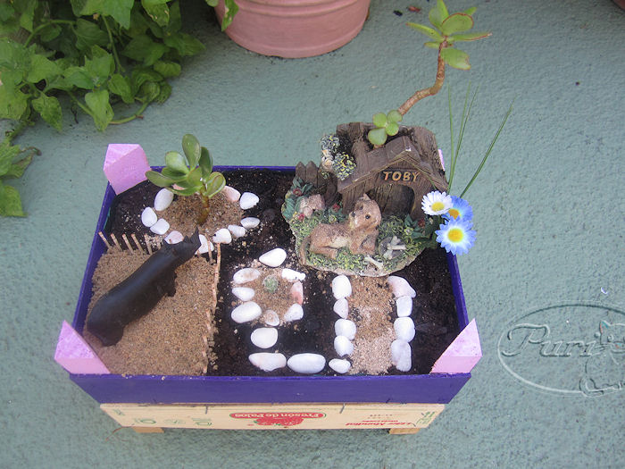 jardin+miniatura+jose+8+septiembre+2011+%25281%2529.jpg