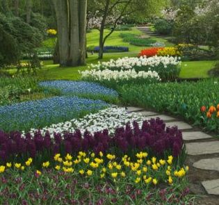 jardin+primavera.jpg
