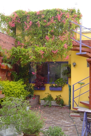 jardin rita.JPG