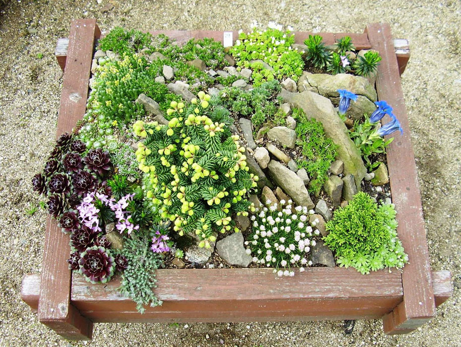 Jardin-rocalla-jardinera.jpg
