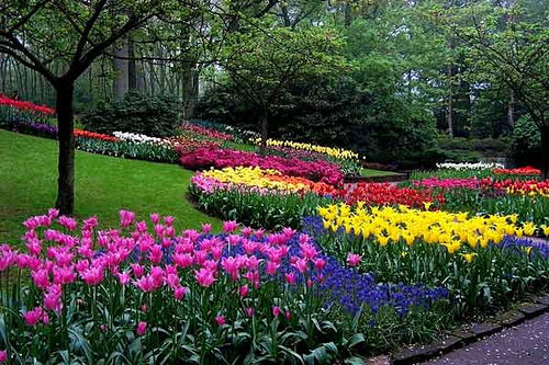 jardin-verano.jpg
