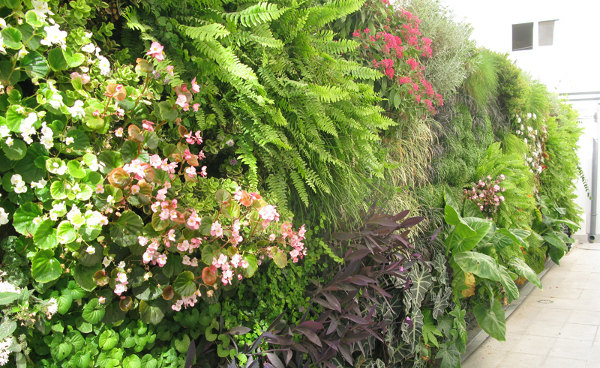 jardin-vertical-Clinica-Sagrado-Corazon-Sevilla-2.jpe