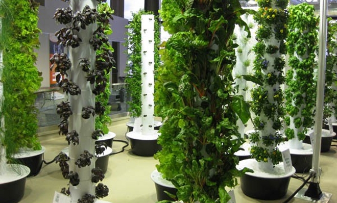 Jardin-vertical-con-verduras-ecologicas-en-el-aeropuerto-de-Chicago.jpg