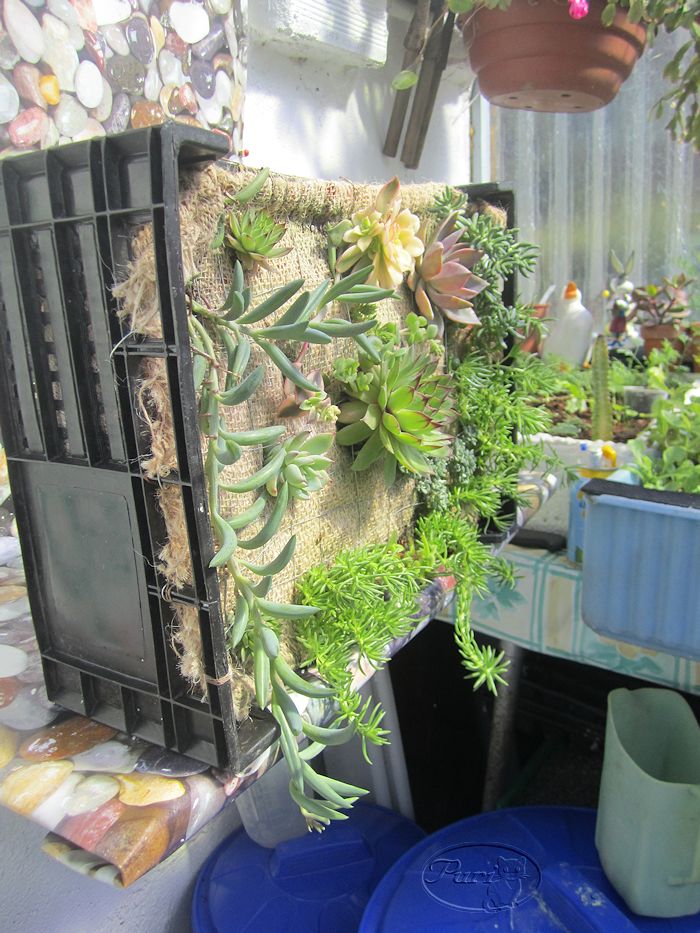 jardin+vertical+ya+se+aguanta+vertical.jpg