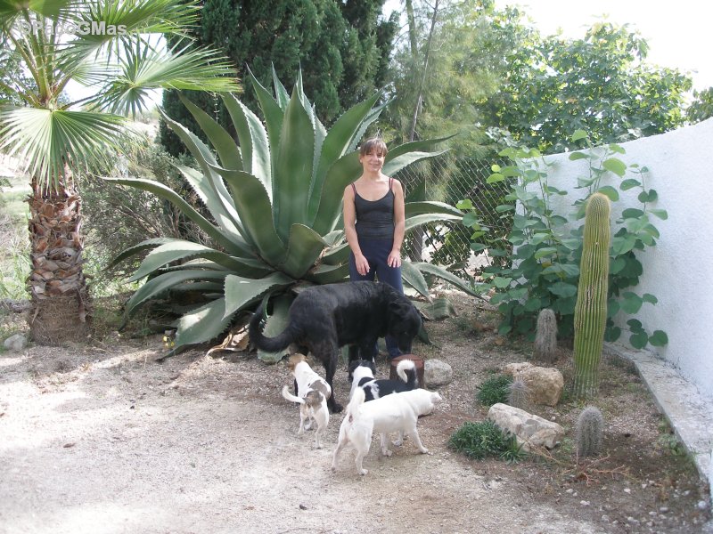 Jardin05-11-025.jpg