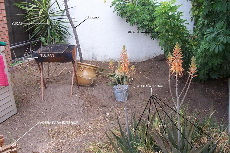 JARDIN1.jpg