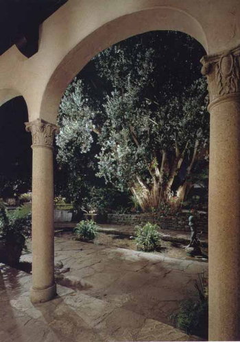 jardin1.jpg