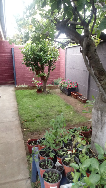 jardin1.jpg