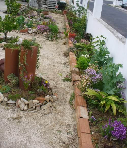 jardin10.jpg