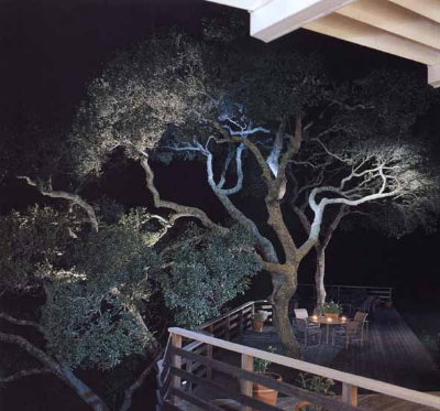 jardin2.jpg