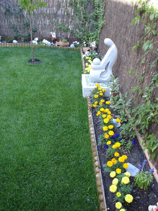 jardin2.JPG