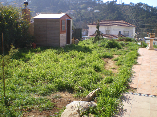jardin23.jpg