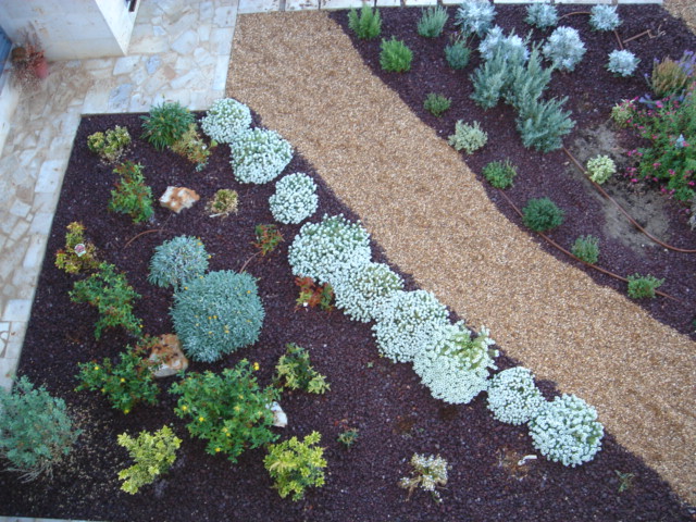 jardin3%20017.jpg