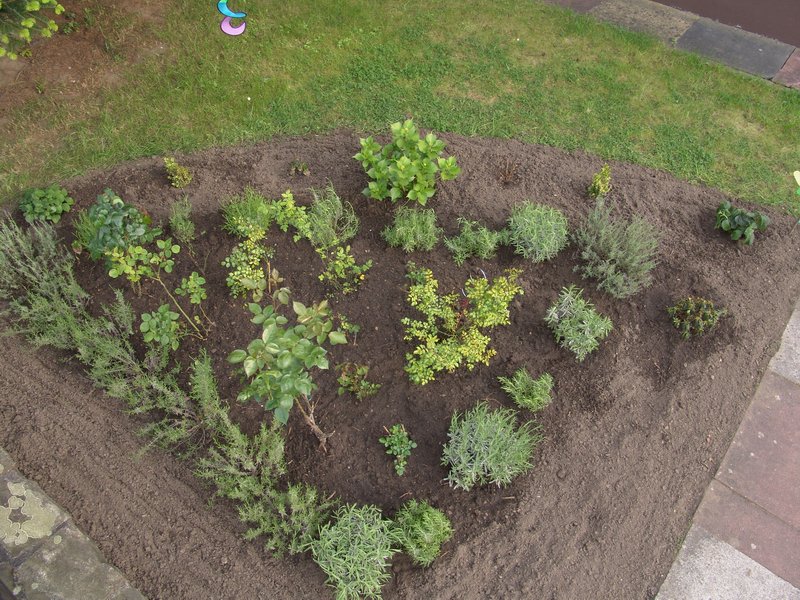 jardin3.JPG