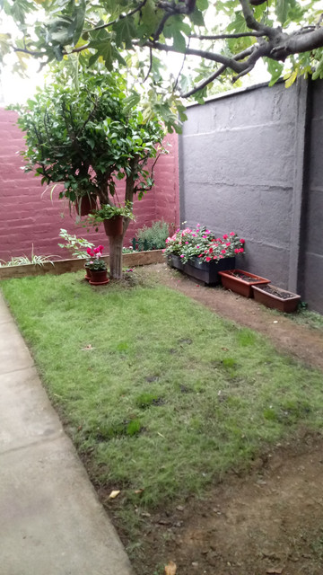 jardin3.jpg