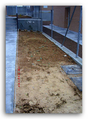 jardin3.jpg