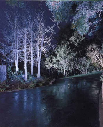 jardin4.jpg