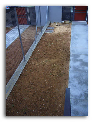 jardin4.jpg