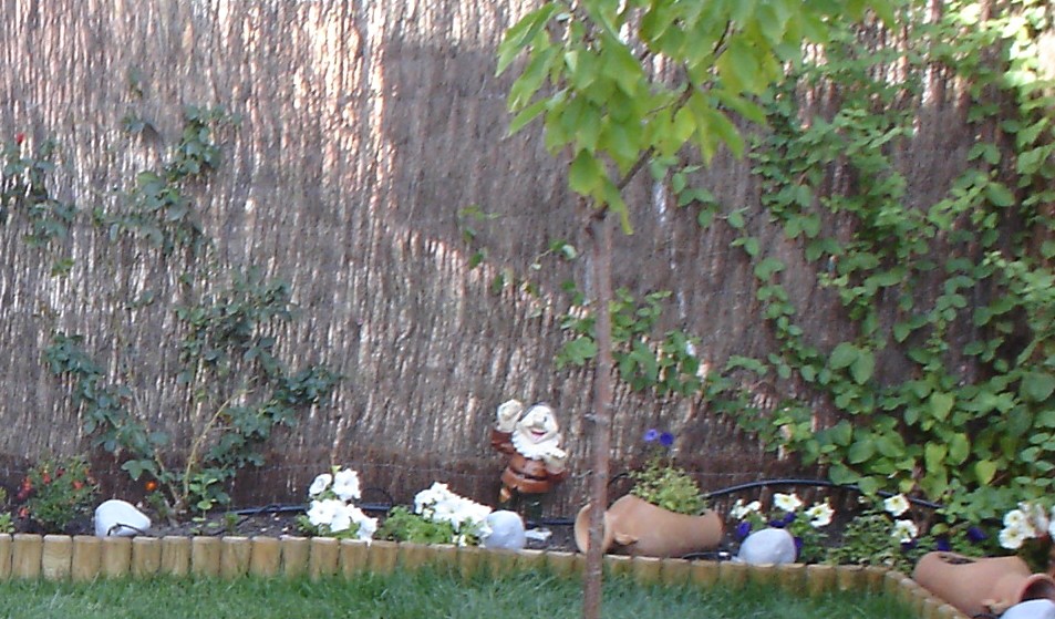 jardin5.jpg