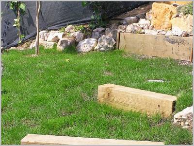 jardin_006.jpg