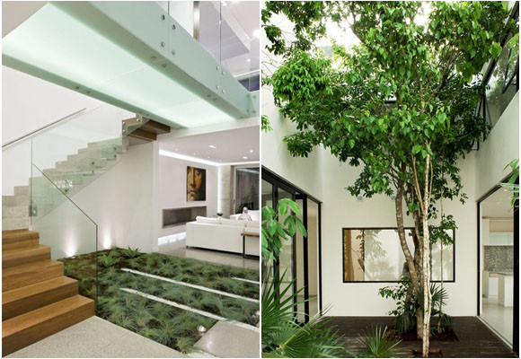 jardin_1.jpg