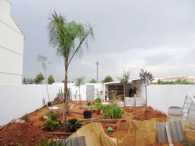 jardin_11.JPG