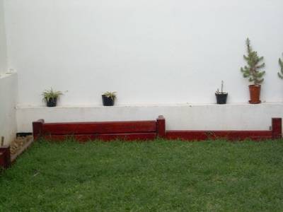 jardin_21.JPG