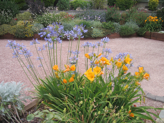 jardin_28_019.jpg