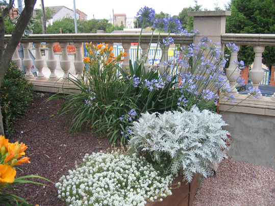 jardin_28_020.jpg