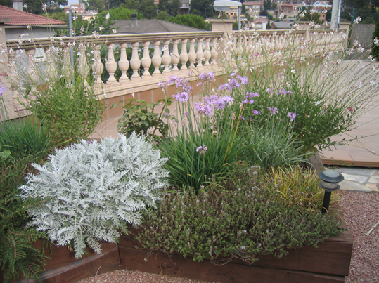 jardin_28_021.jpg