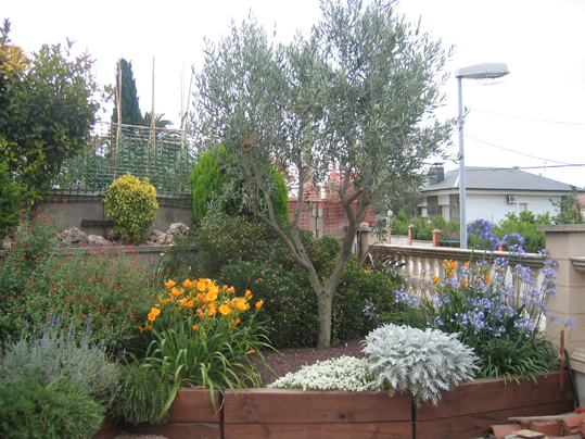 jardin_28_023.jpg