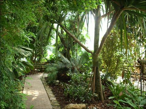 jardin_botanico_valencia.jpg