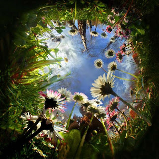 jardin_de_flores-12380%5B1%5D.jpg