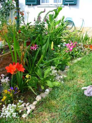 jardin_mai07.JPG