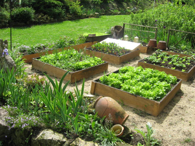jardin_potager.jpg