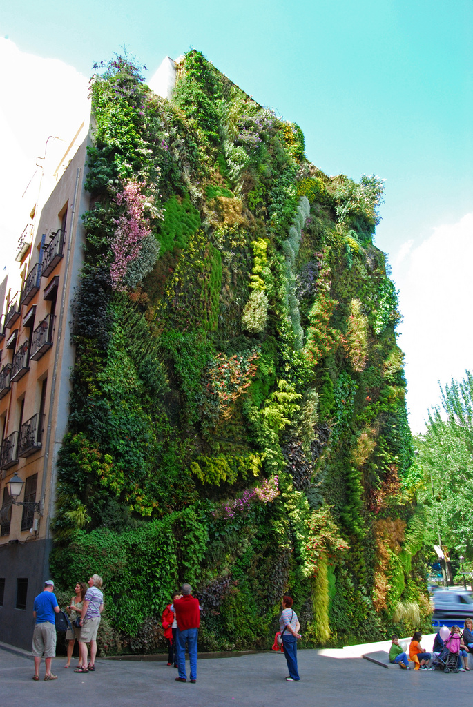 jardin_vertical.jpg