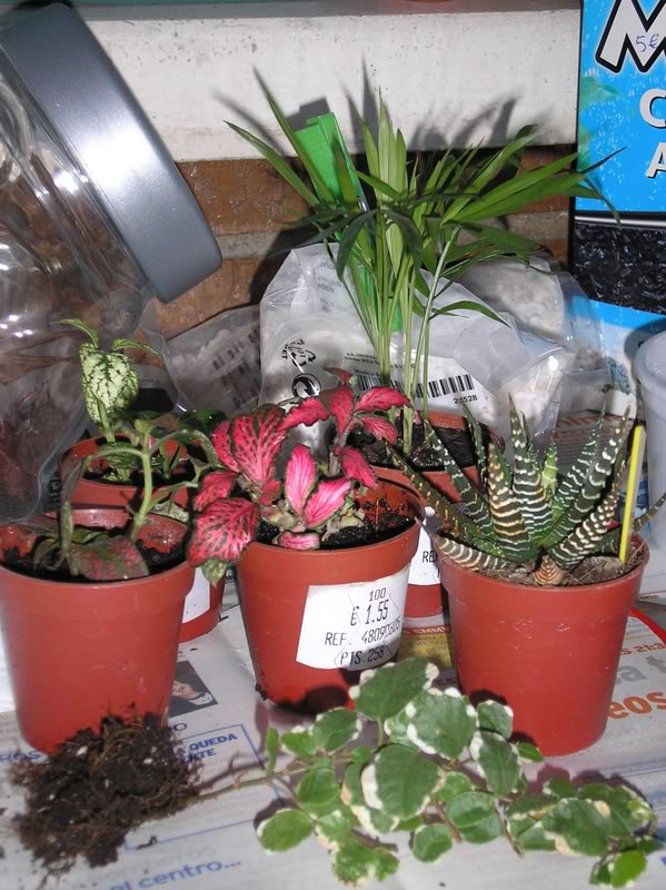 jardinbotella002-1.jpg